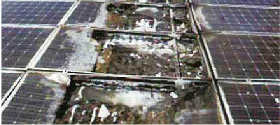 鳥の糞が付着した太陽電池モジュール（ソーラーパネル）