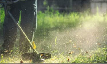 除草（草刈り）